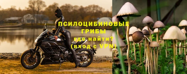 спайс Алексеевка