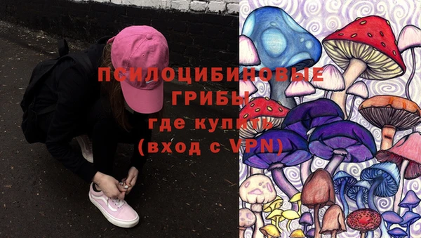 MDMA Premium VHQ Алзамай