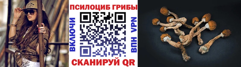 Галлюциногенные грибы Cubensis  Ессентукская 